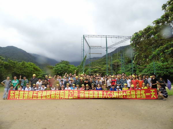 ��˾���(d��ng) (11)