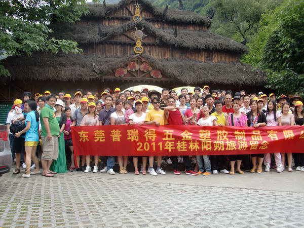 ��˾���(d��ng) (1)